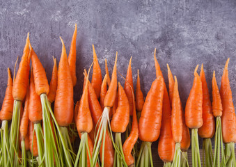 Young mini carrot in row over concreate background. Flat lay, space. Cooking concept, food background.