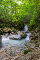 Obraz premium 西丹沢の渓谷