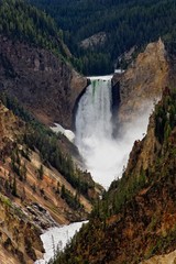 Lower Falls im Yellowstone Nationalpark