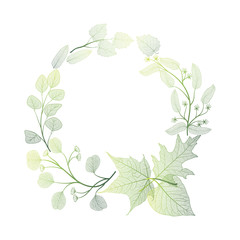 Fototapeta premium Beautiful wreath of leaves. Vector illustration.
