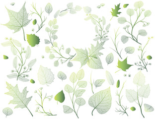 A set of green leaves, branches and created from these elements wreath. Vector illustration. 