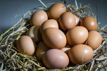 Organic fresh eggs in the nest ready for cooking