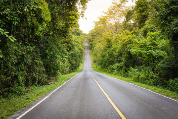 Forest road at dense trees on both sides in Khaoyai National Park (The World Heritage of nature) Thailand