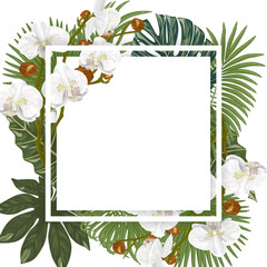 Beautiful background with Orchids flowers and palm leaves , watercolor, Space for text. Vector illustration.
