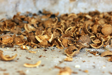 Walnut shells close up. Background. Walnut on wall background