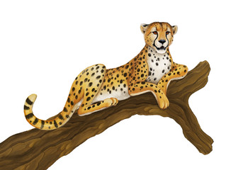 cartoon scene with cheetah resting on tree on white background illustration for children