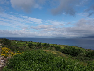 Fototapeta na wymiar Ring of Kerry – Westküste bei Kells Bay
