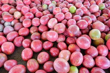 Pile of passion fruit background,soft focus.