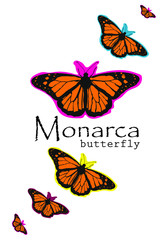 set of colorful butterflies