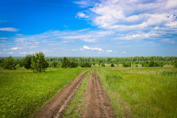Summer landscape - a field road stretching into the distance among birch forests. Concept of travel and adventure.