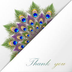 Design card with feather peacock,  isolated on white. Vector 