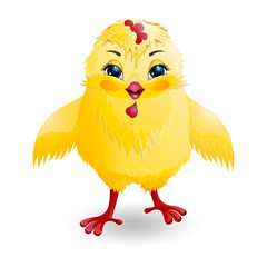Cute little chicken, animal cartoon. Vector illustration.