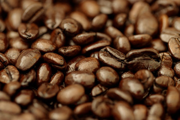 コーヒー豆