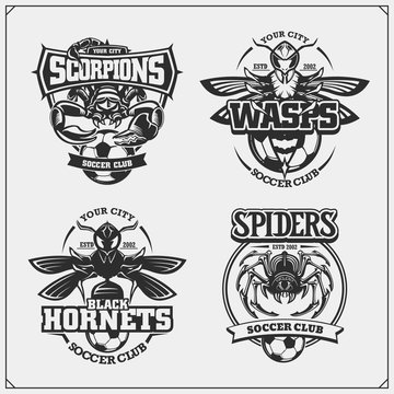 Set of vector football and soccer badges, labels and design elements. Sport club emblems with scorpion, wasp, hornet and spider. Print design for t-shirts.