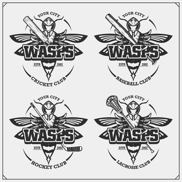 Cricket, baseball, lacrosse and hockey logos and labels. Sport club emblems with wasp. Print design for t-shirt.