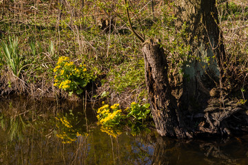 Wspaniale Podlasie. Dolina Narwi