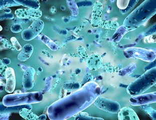 Bifidobacterium, bacterial strain3d illustration.