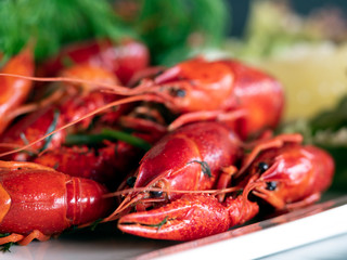 Red boiled crabs decorated with a salad, lemon and dill on a white plate on a black table.