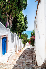 A narrow street that runs between the white walls with blue doors and leading to the sea. Sidi Bou Said. Tunisia.