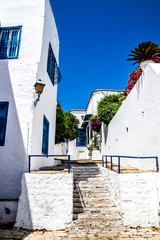 Stairs leading to a beautiful street with blue and white houses and colorful bushes. Sidi Bou Said. Tunisia.