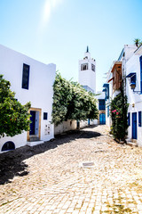 Beautiful street with blue and white houses and colorful bushes and trees, illuminated by the rays of the summer sun. Sidi Bou Said. Tunisia.