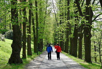 allee im kurpark auf dem gräfenberg
