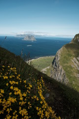 view of islands with flowers