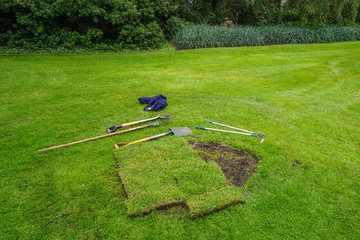 Restoration of spoiled lawn on the lawn in the park, the city of Edinburgh