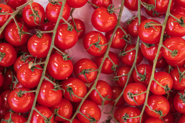 Nahaufnahme von Chrerrytomaten auf dem Markt