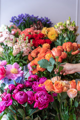 Woman hand picks up orange rose