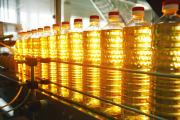 Sunflower oil. Line for the production and bottling of refined oil from sunflower seeds. Conveyor...