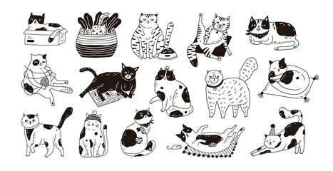 Collection of cute funny cats sitting, washing, stretching itself, playing. Bundle of adorable purebred pet animals hand drawn with contour lines on white background. Monochrome vector illustration.