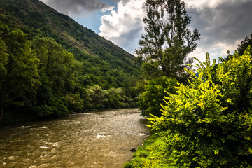 Fototapeta na wymiar River through forest and mountains, cloudy sky. Ibar river in Serbia
