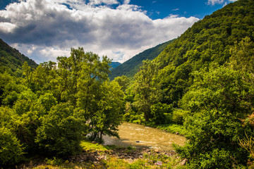Obraz premium River through forest and mountains, cloudy sky. Ibar river in Serbia