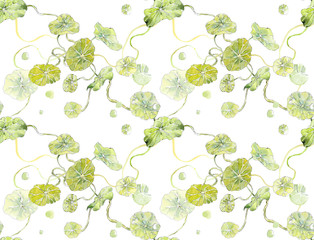 Leaves nasturtium. Seamless pattern. Watercolor hand drawn illustration