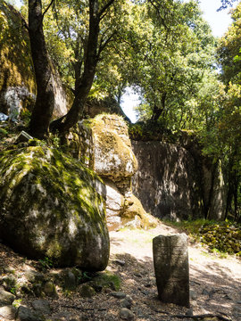 Menhir and Castle