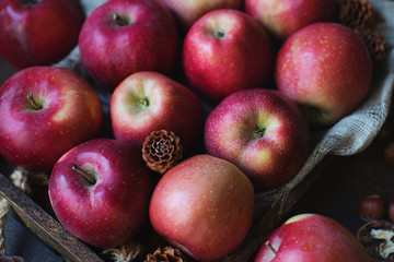 Raw organic red autumn apples in wooden box with yellow leafes and cones