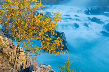 Golden Leaves and a Long Exposure at Great Falls of the Potomac on an Autumn Morning