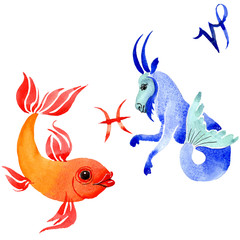 Horoscope zodiac sign, astrology symbol. Watercolor background set. Isolated zodiac illustration element.