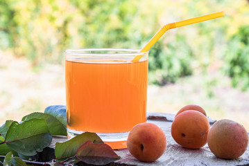 Fresh apricot juice and apricots on a table against the background of nature.