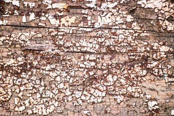 Cracked grunge dirty weathered ugly vintage surface texture background