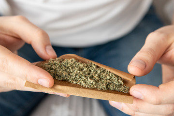 marijuana GRINDER cannabis use concept. Close up of Man rolling a cannabis blunt on white...