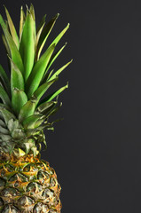 Ripe pineapple with green leaves on a black background. Summer refreshing tropical dietary healthy fruit. Minimal composition.