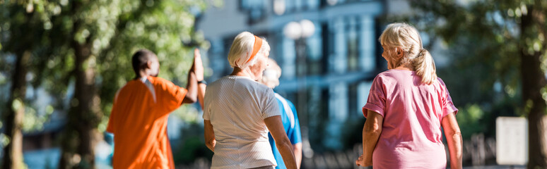 panoramic shot of senior women near multicultural retired men in park