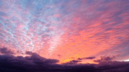 Pink cumulus clouds in the sky during sunset