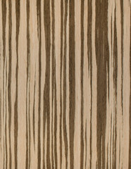 Fototapeta premium drewno tło tekstura deseń