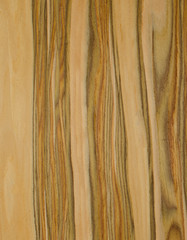 Obraz premium drewno tło tekstura deseń