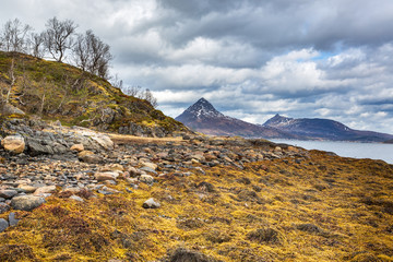 The Fjordbotn on Senja Island in Norway