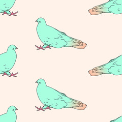 vector seamless pattern tropical pigeon bird