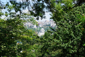 istanbul gulhane park; tree and flowering road.istanbul's most historical park